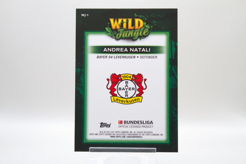 WJ-1 - Andrea Natali (RC)