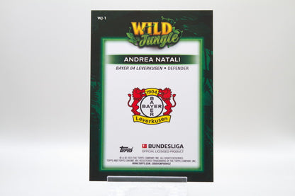 WJ-1 - Andrea Natali (RC)
