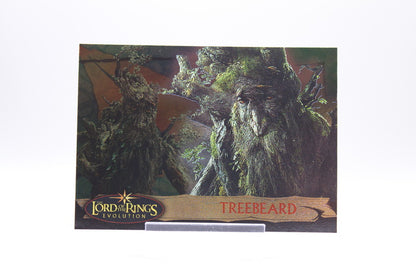 44 - Treebeard