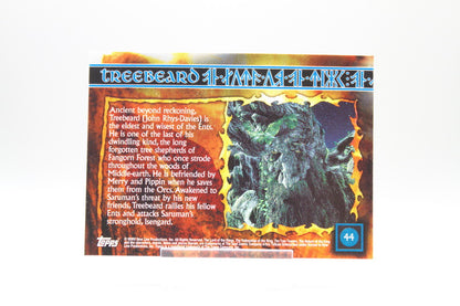 44 - Treebeard