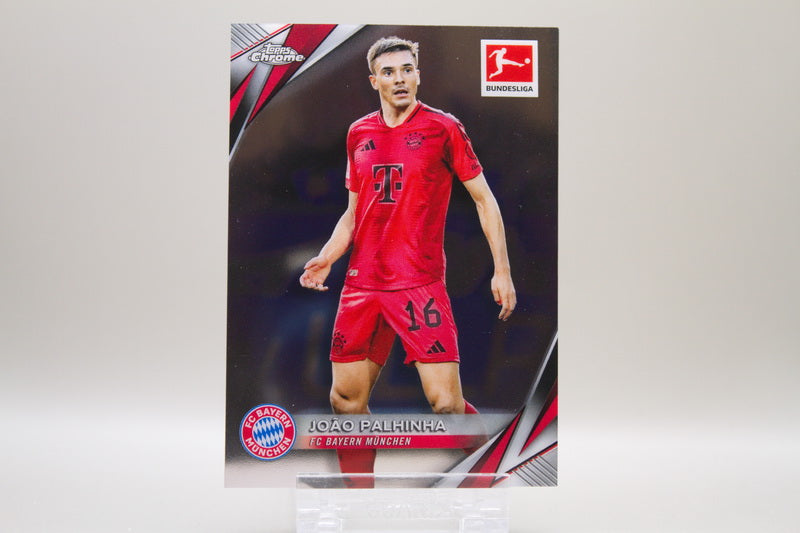 FC Bayern München Base Lot #2 - 8 Karten