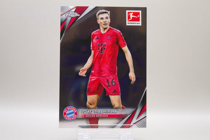 FC Bayern München Base Lot #2 - 8 Karten