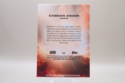 22 - Cassian Andor