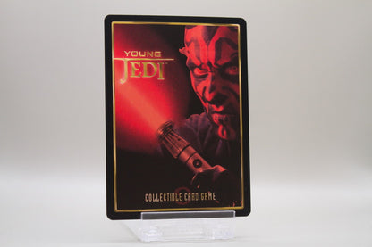 85 - Ann and Tann Gella