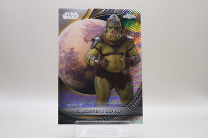 73 - Gamorean Guard /25