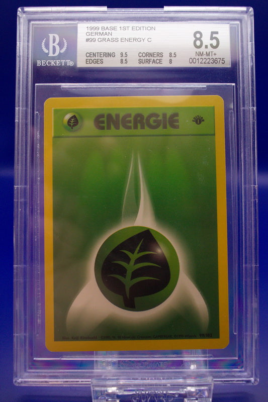 BGS 8.5 - Pflanzen-Energie 99