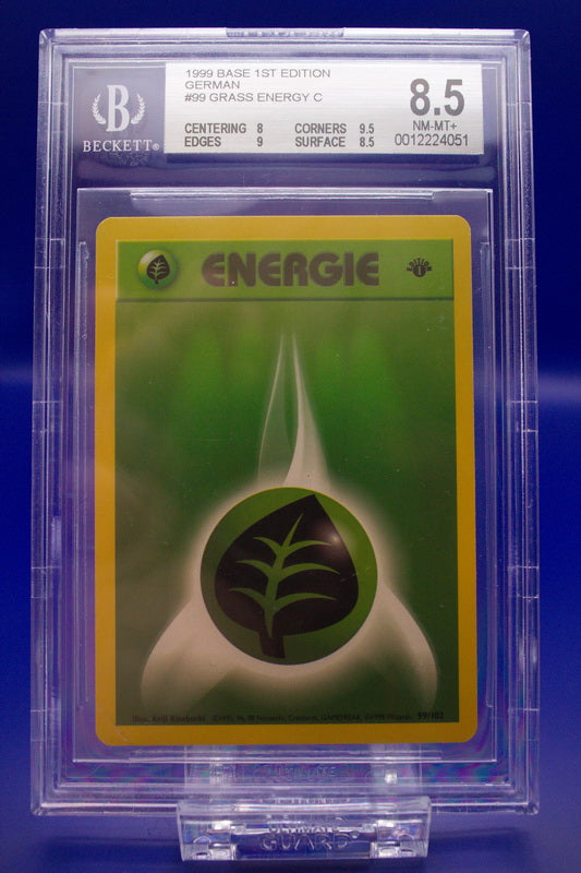 BGS 8.5 - Pflanzen-Energie 99
