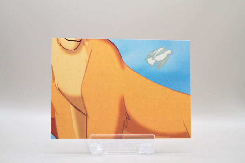 107 - Scenic Puzzle Cards - "All The Light Touches..."