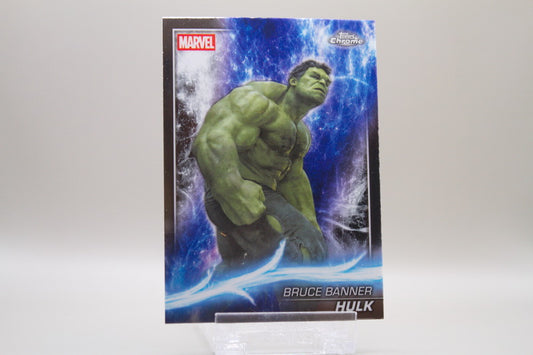 27 - Hulk - Bruce Banner
