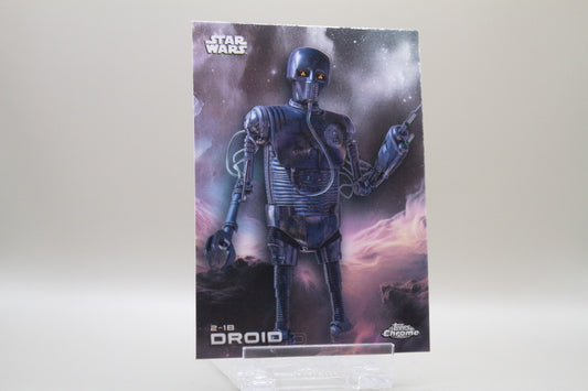 101 - 2-1B Droid
