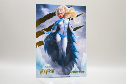 14 - Snowbird /90