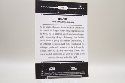 40 - IG-12