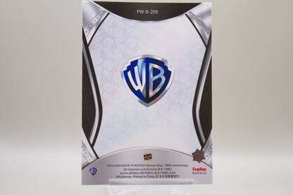 PW-B-209 - Grey Matter