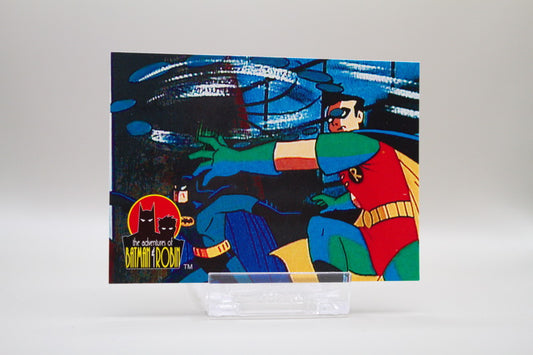 15 - Batman & Robin - Into The Action