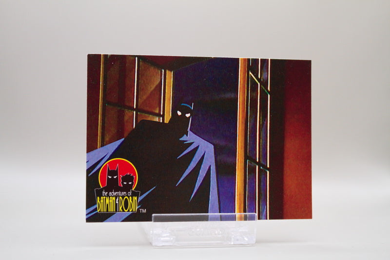 2 - The Dark Knight - Protector