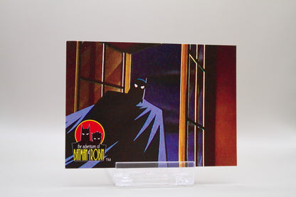 2 - The Dark Knight - Protector