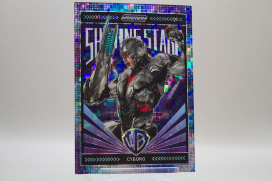 PW-WT-12 - Cyborg /888