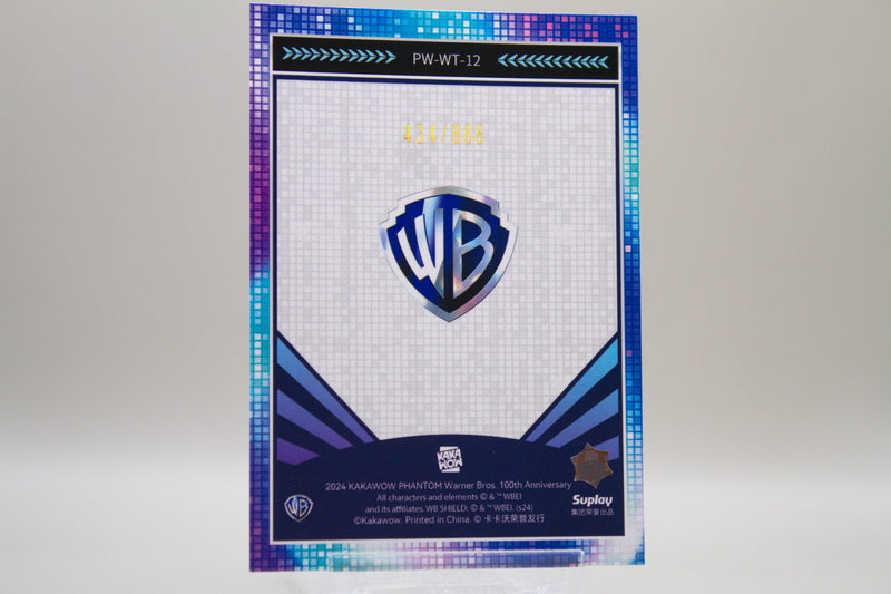 PW-WT-12 - Cyborg /888