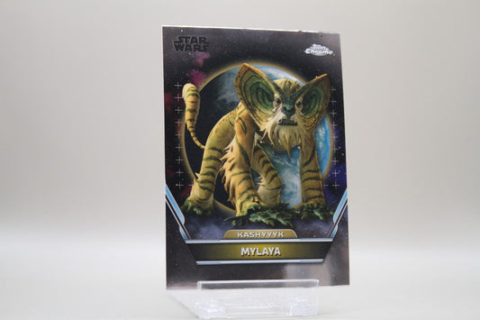 8 - Kashyyyk - Mylaya