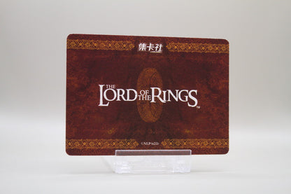 ZHW01-PT - Left bottom corner