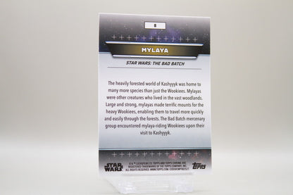 8 - Kashyyyk - Mylaya