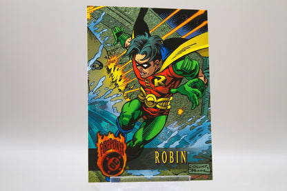 69 - Robin