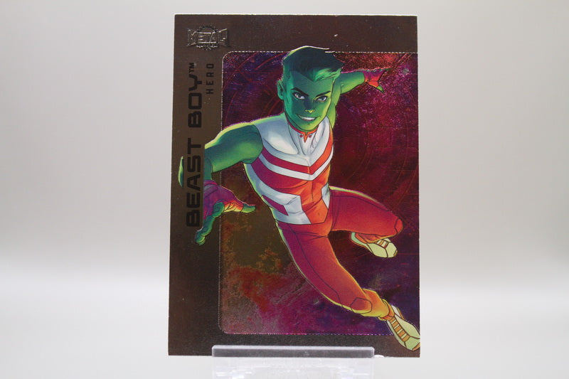 48 - Beast Boy