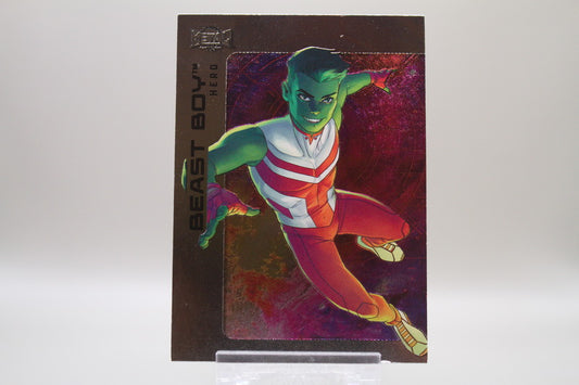 48 - Beast Boy