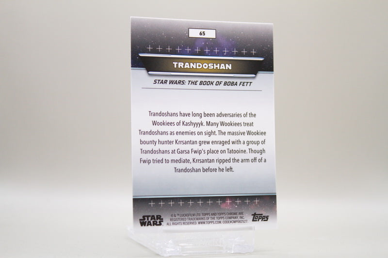 65 - Kashyyyk - Trandoshan