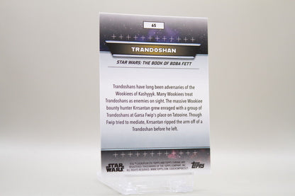 65 - Kashyyyk - Trandoshan