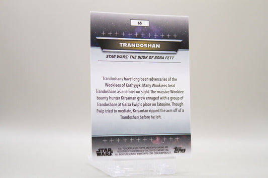 65 - Kashyyyk - Trandoshan