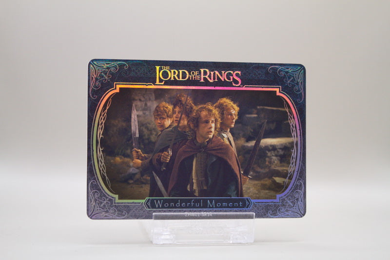 ZHW01-SR14 - Wonderful Moment