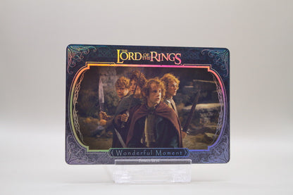 ZHW01-SR14 - Wonderful Moment