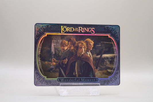 ZHW01-SR14 - Wonderful Moment