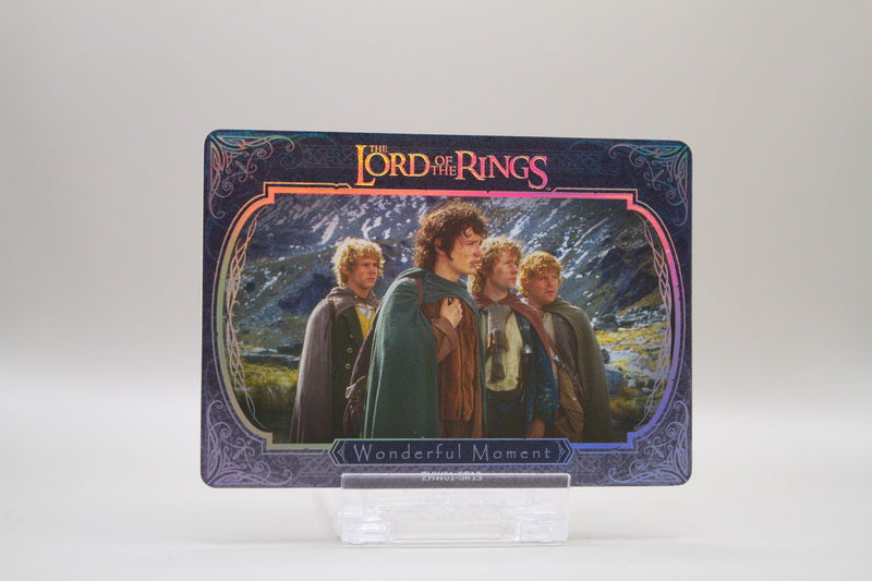 ZHW01-SR13 - Wonderful Moment