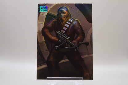 POW-7 - Chewbacca
