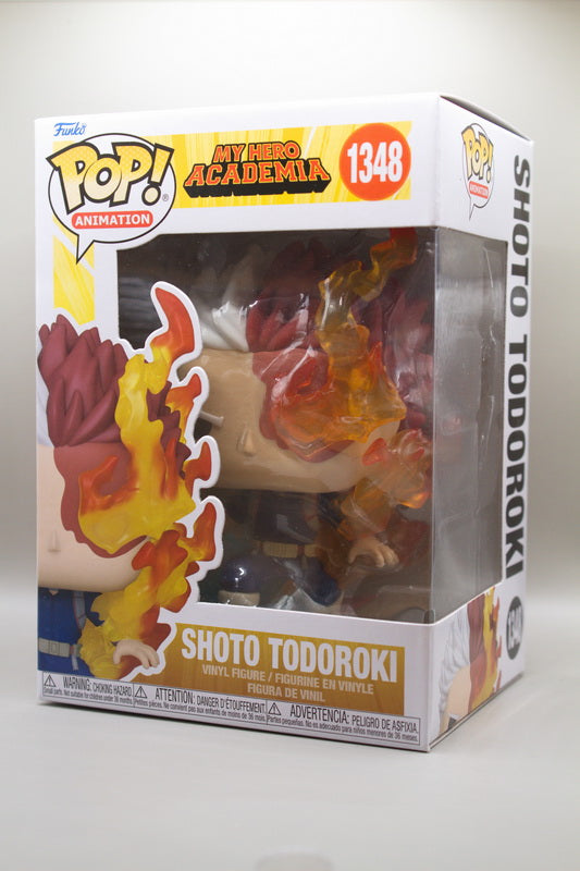 1348 - Shoto Todorok