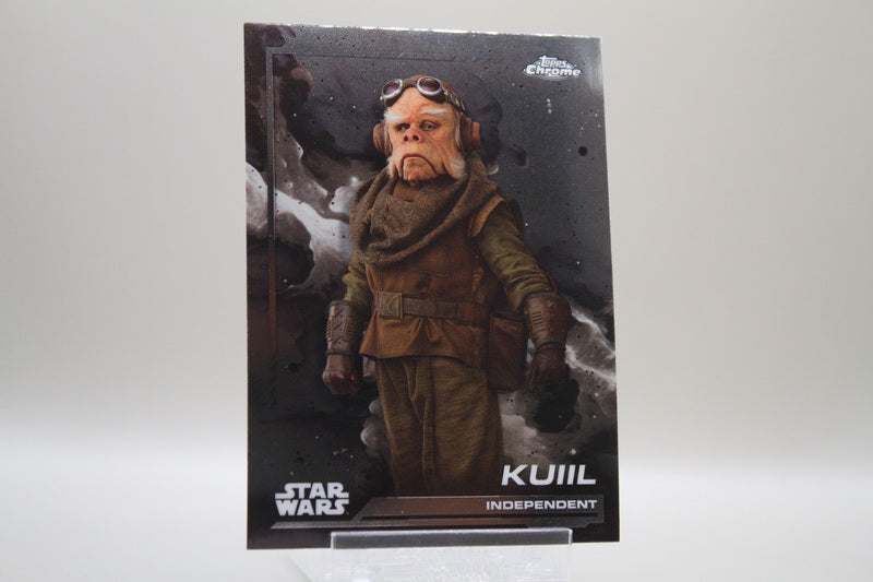 45 - Kuiil