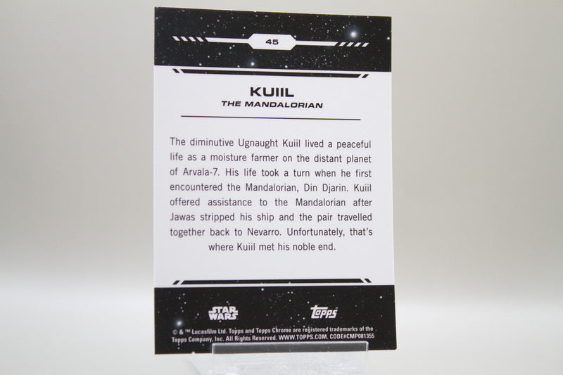 45 - Kuiil