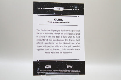 45 - Kuiil