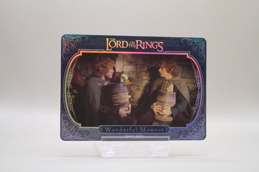 ZHW01-SR03 - Wonderful Moment