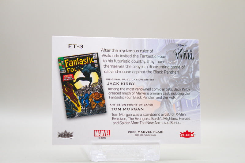 FT-3 - Level 1 - Black Panther