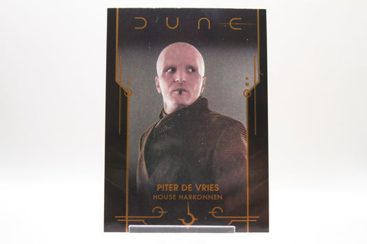 14 - Piter de Vries