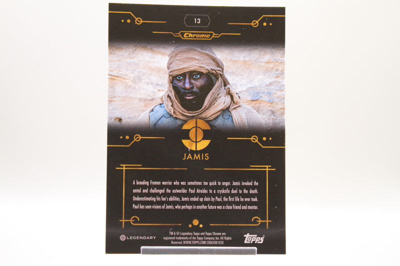 13 - Jamis