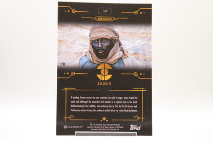 13 - Jamis