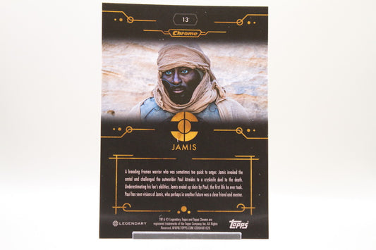 13 - Jamis