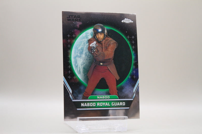 17 - Naboo - Naboo Royal Guard