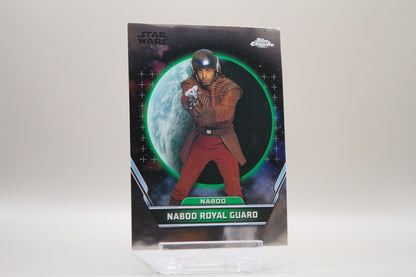 17 - Naboo - Naboo Royal Guard