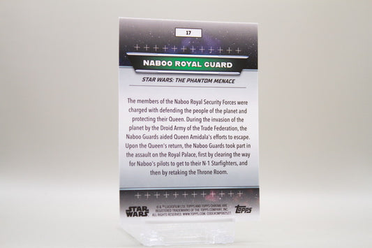 17 - Naboo - Naboo Royal Guard