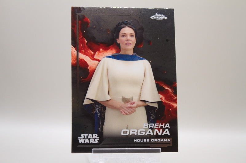 73 - Breha Organa